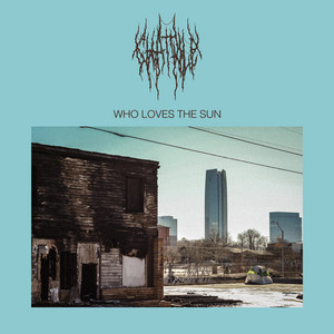 Who Loves the Sun by Chat Pile — cover art