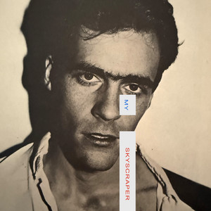 MY SKYSCRAPER by Nirosta Steel — cover art